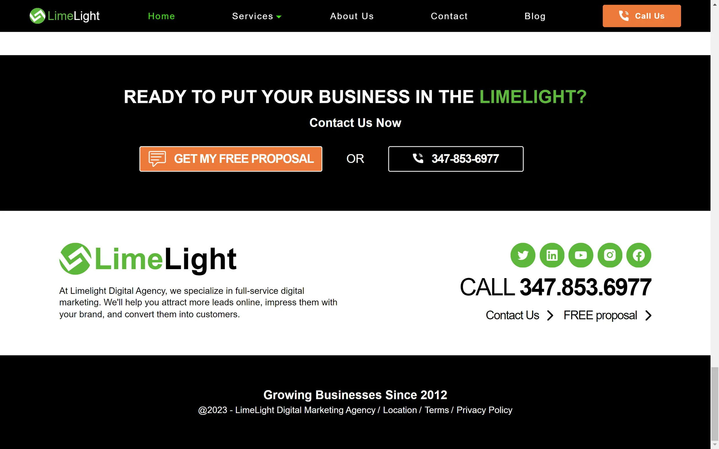 Limelight Digital Agency screenshot 3