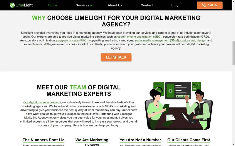 Limelight Digital Agency screenshot